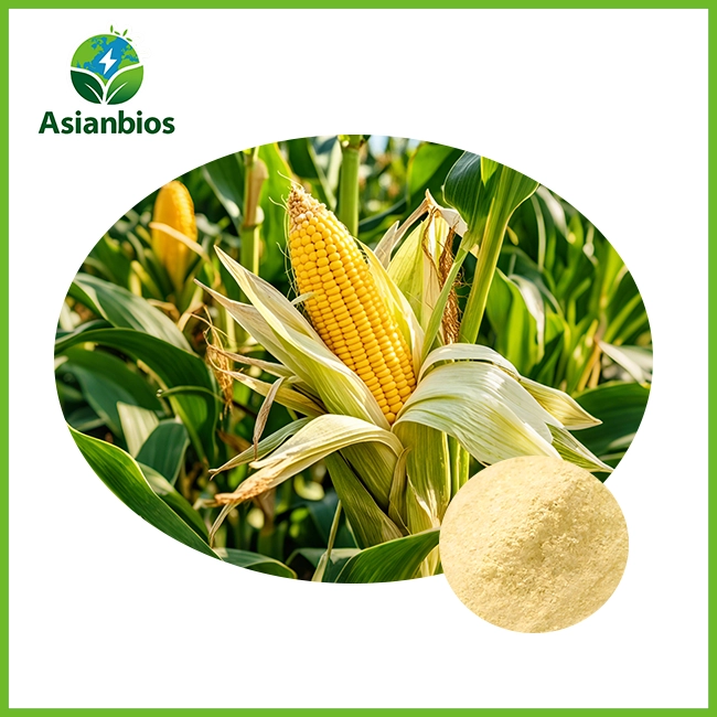 Pure Corn Extract Powder